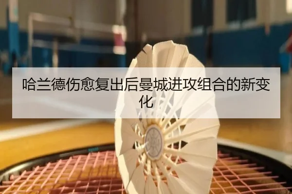 哈兰德伤愈复出后曼城进攻组合的新变化 | xingcai